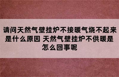 请问天然气壁挂炉不接暖气烧不起来是什么原因 天然气壁挂炉不供暖是怎么回事呢